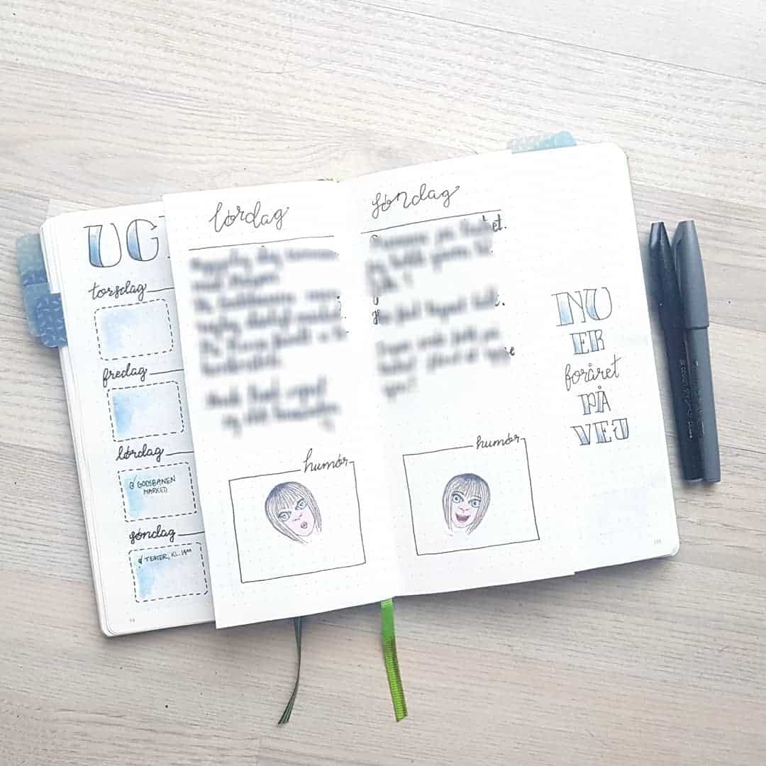 Keeping your privates private - Dutch Doors in your Bullet journal