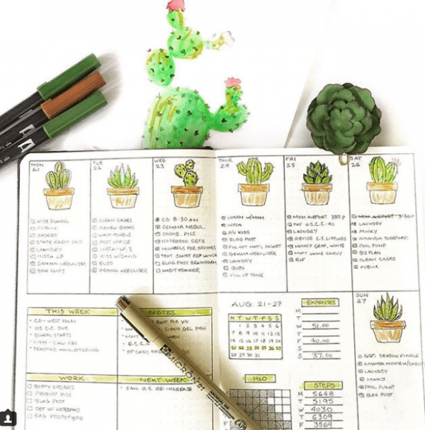 100+ Incredible Cactus Bullet Journal Spreads