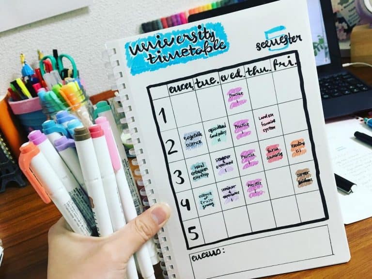  study timetable template bullet journal