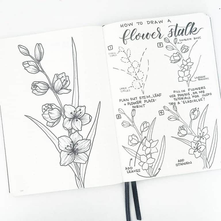 amazing doodle bullet journal
