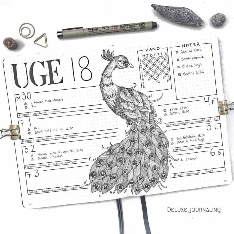 peacock inspired bullet journal spreads