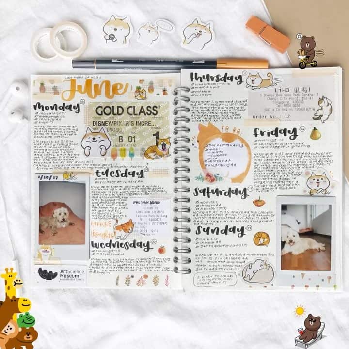 studyblr studygram study bullet journal