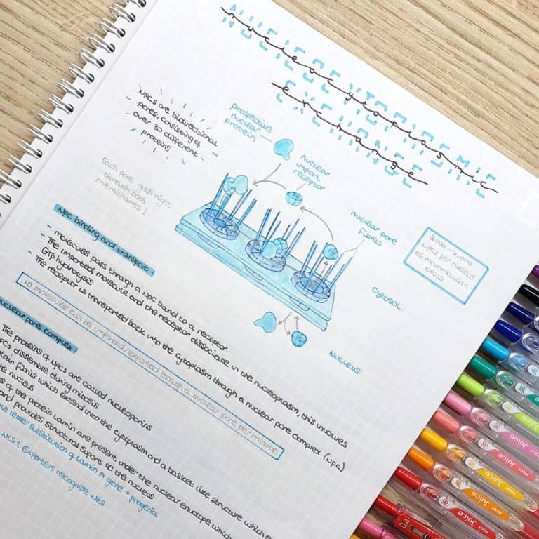 studyblr studygram study bullet journal