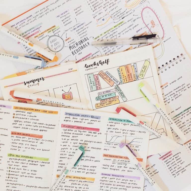 studyblr studygram study bullet journal