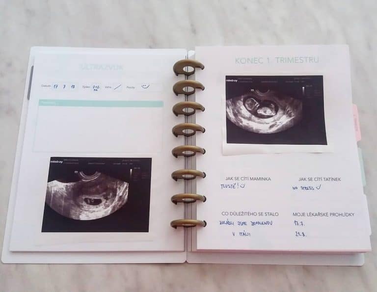 pregnancy tracker bullet journal layout