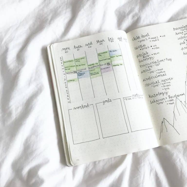  study timetable template bullet journal