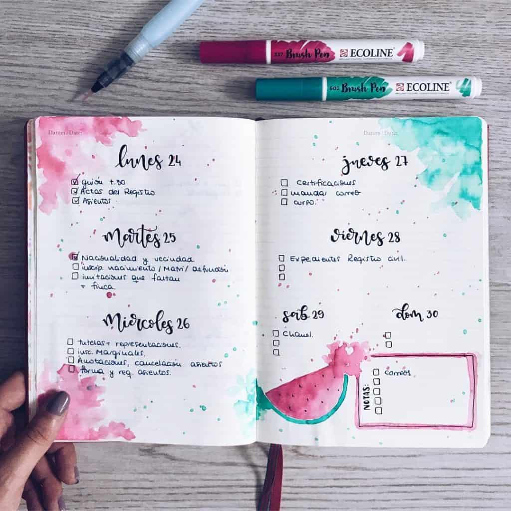 Watermelon bullet journal ideas