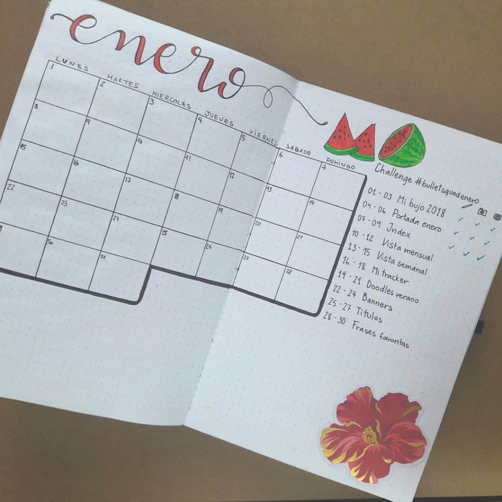 Watermelon bullet journal ideas