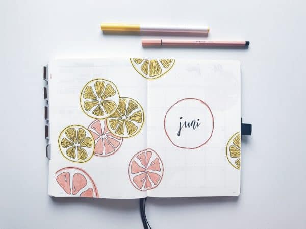 40 Juicy Citrus Bullet Journal Theme Ideas My Inner Creative 5821