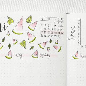 55 Stunning Watermelon bullet journal ideas | My Inner Creative