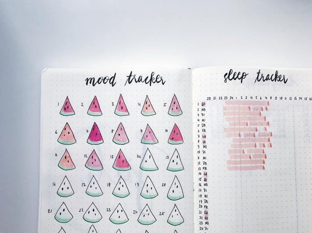 Watermelon bullet journal ideas