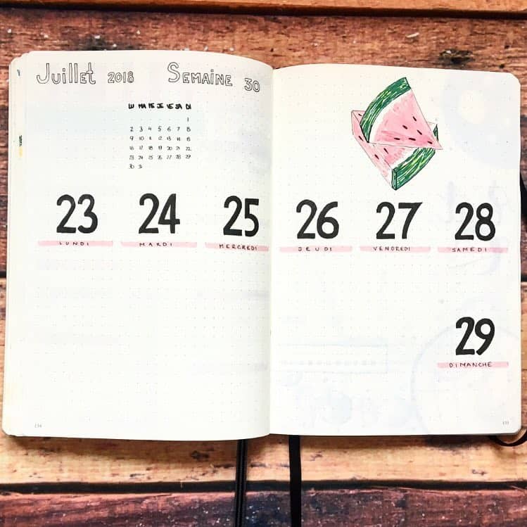 Watermelon bullet journal ideas