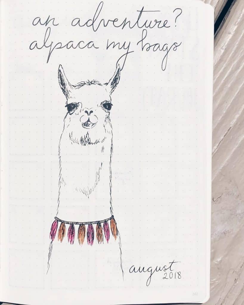 Llama inspired bullet journal ideas