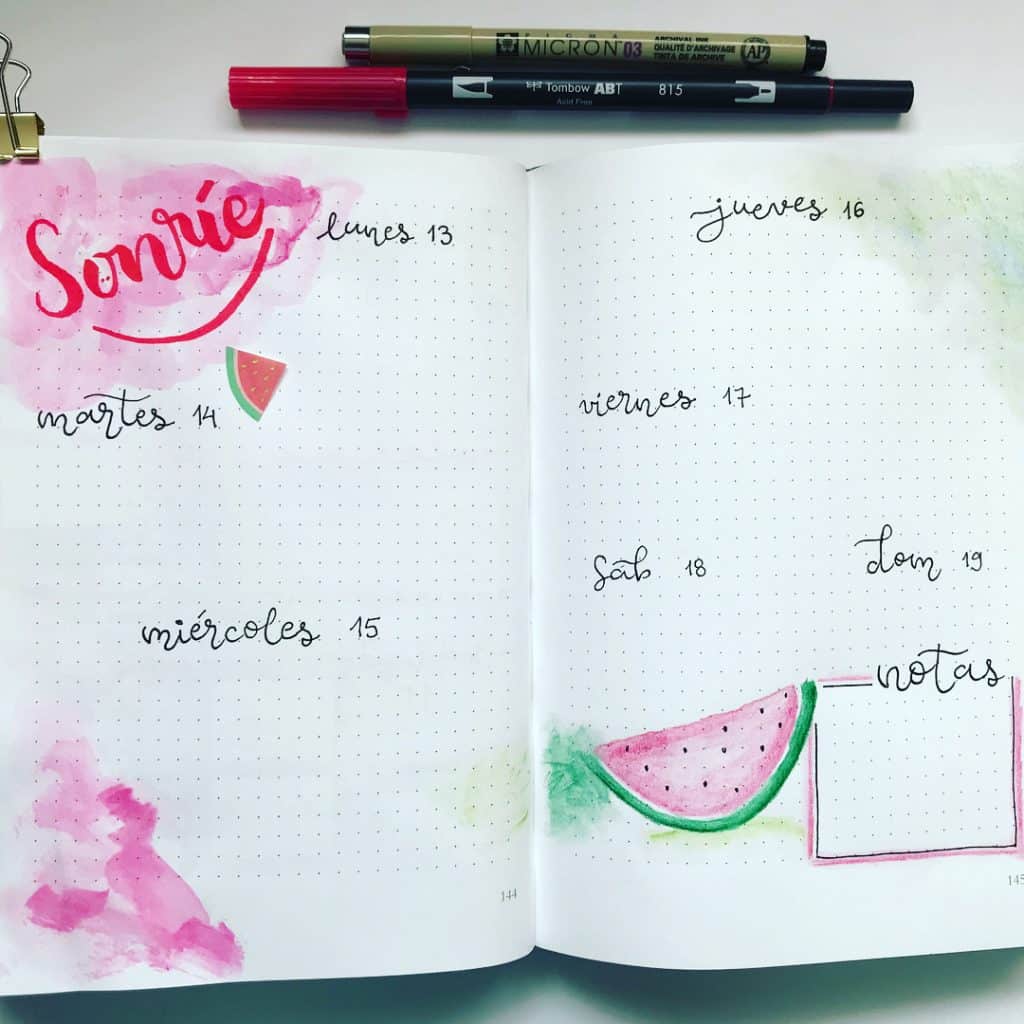 Watermelon bullet journal ideas