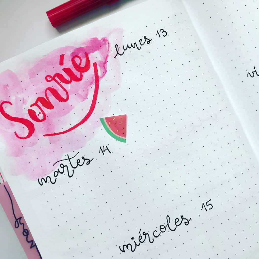 Watermelon bullet journal ideas