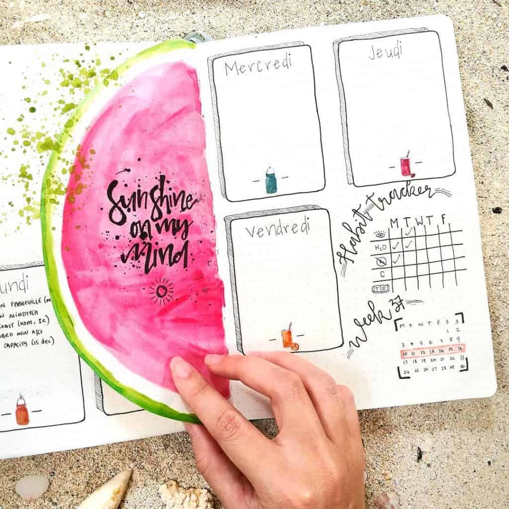 Watermelon bullet journal ideas