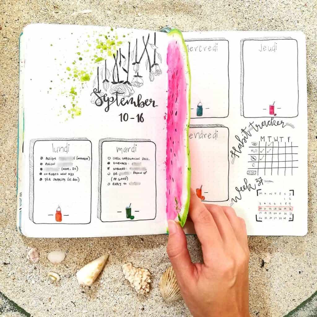 Watermelon bullet journal ideas