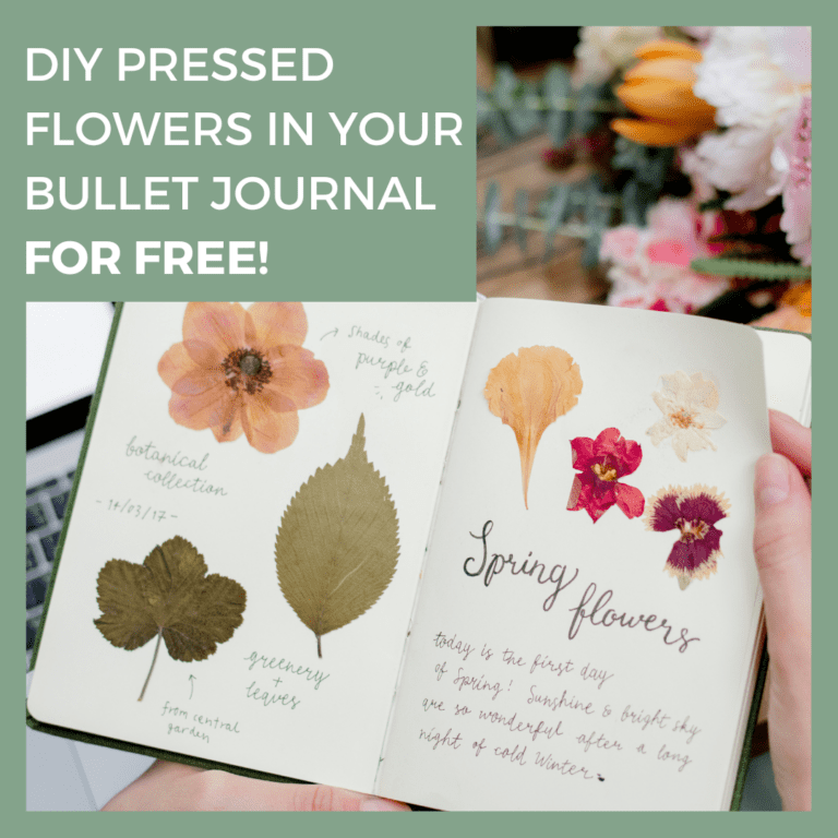 How to easily create pressed flowers for your bullet journal – FOR FREE